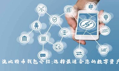 2023年主流比特币钱包介绍：选择最适合您的数字资产保护方案